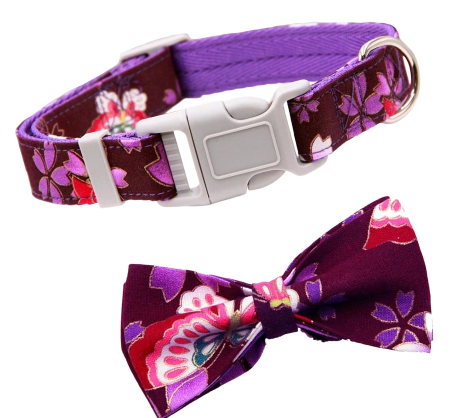 Collier pour chiens de petite et moyenne taille aux finitions soignées