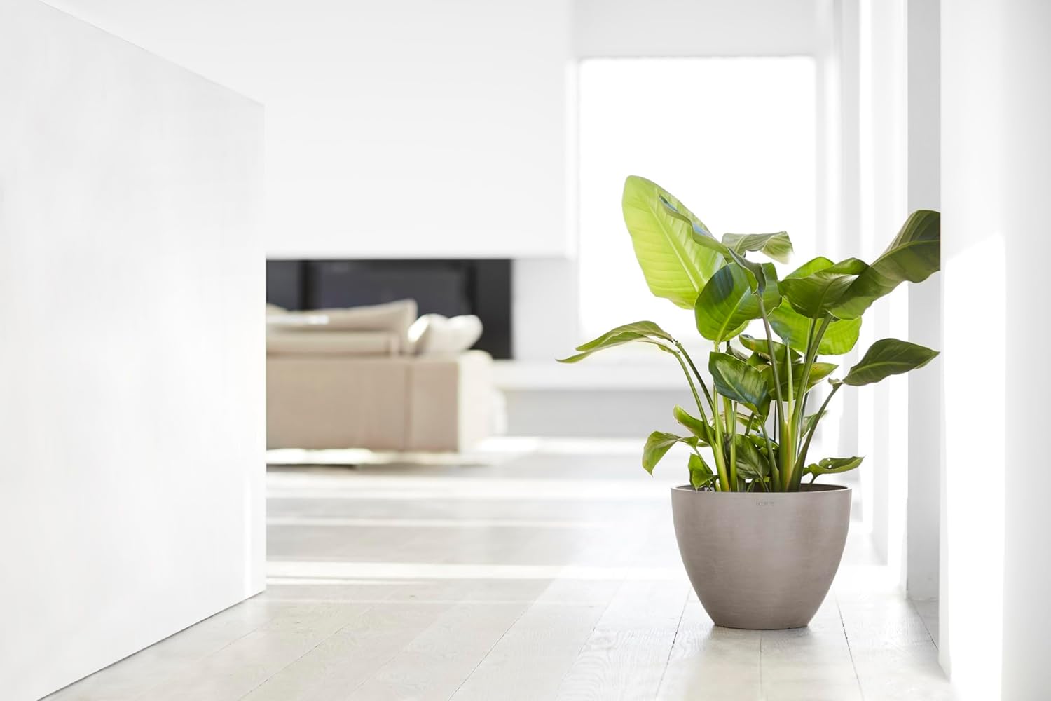 Ecopots Antwerp Durable Modern Round Indoor/Outdoor Recycled-Based Composite Flower Pot Planter, Taupe, 16"