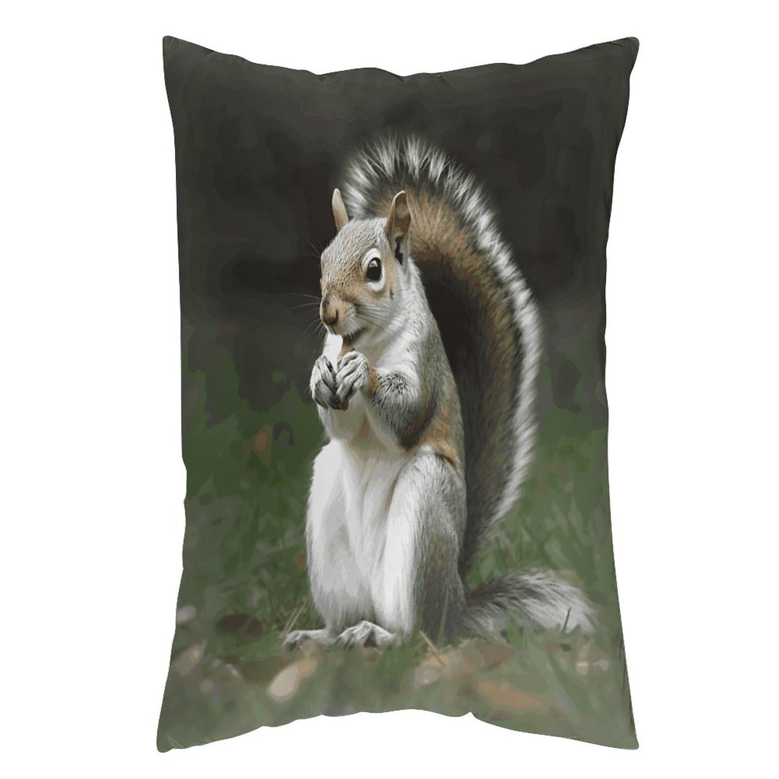 LDGSUPH Squirrel Pillow Cases Soft Pillowcase with Invisible Zipper Wrinkle Resistant Pillow Covers Breathable Removable Pillow Protector for Bed Sofa Car 20"x30"