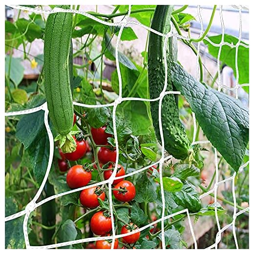Trellis Netting, CANAGROW Heavy-Duty Garden Plant Trellis Netting for Climbing Plants, Outdoor Indoor Grow Net for Beans Tomatoes Peas Pumpkin Flowers, 6x15ft, 1 Pack