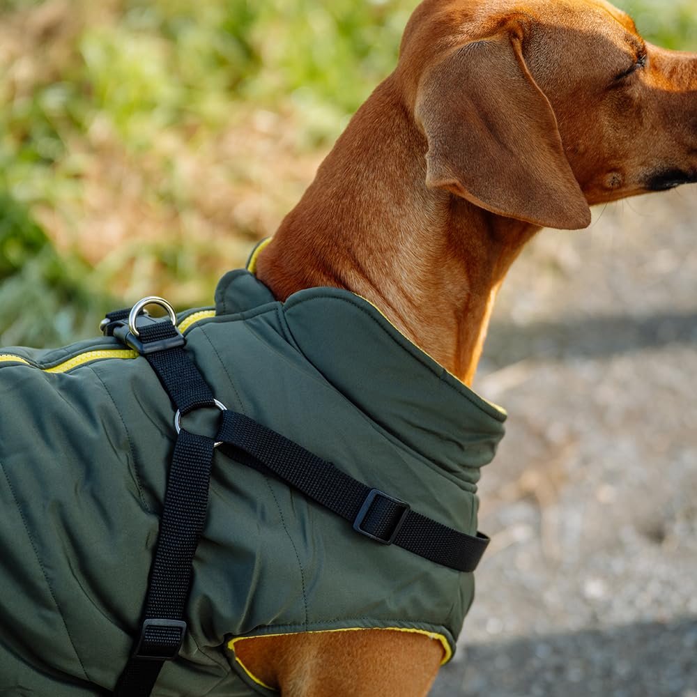 Nobby Sobak 65539 Dog Coat 2 in 1 Olive Yellow 20 cm - Image 4