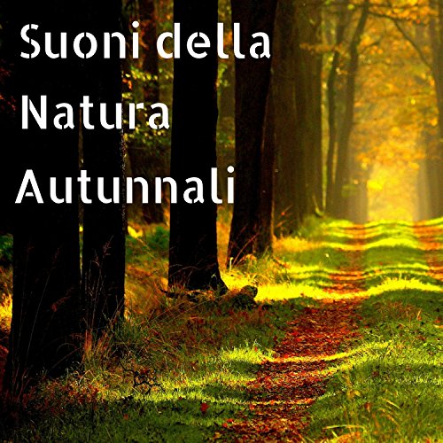 Play Suoni della Natura Autunnali - Musica Rilassante e Suono Naturale ...