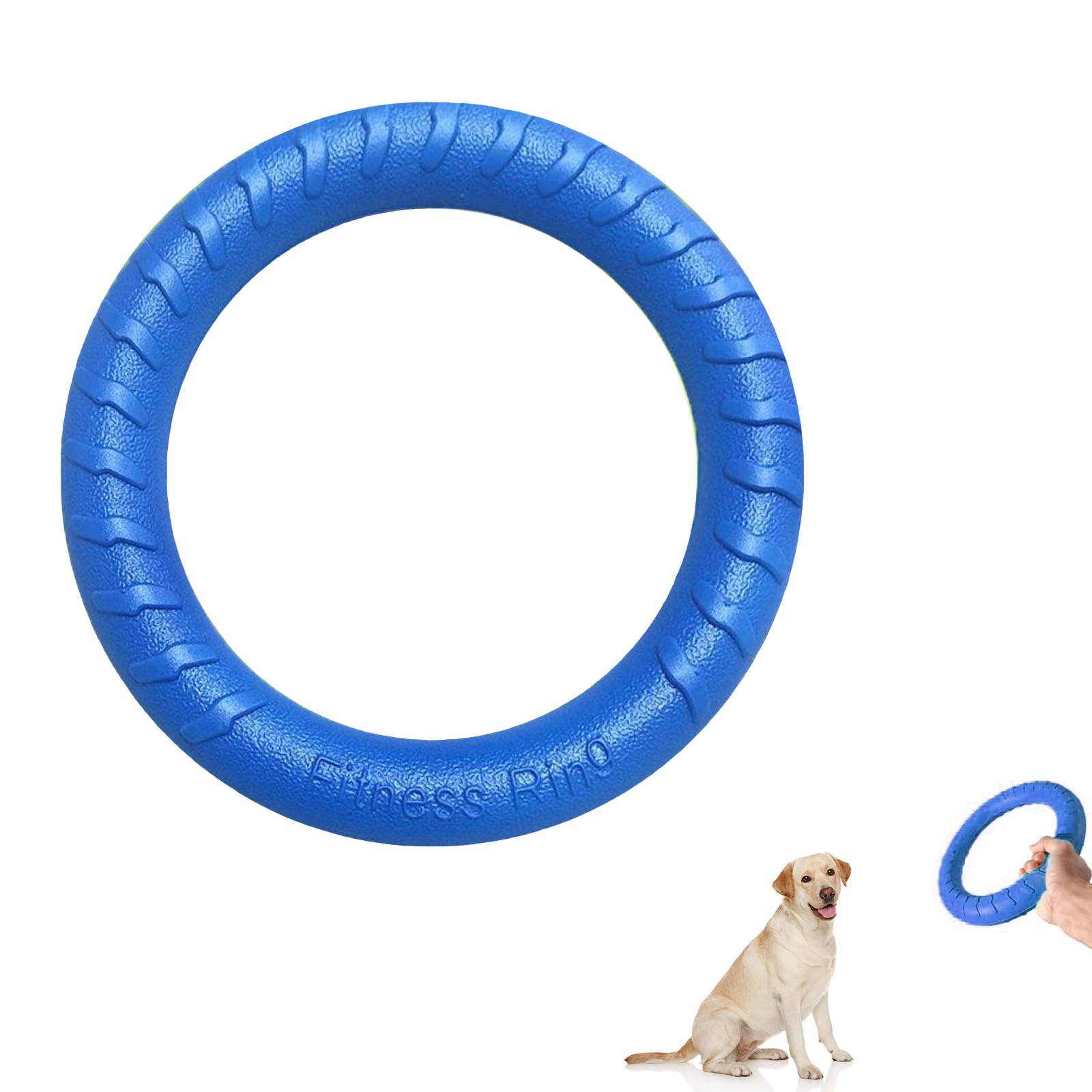 Frisbee de Caucho