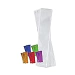 Purple Q Crafts Clear Plastic Cellophane Bags with 4 Colored Twist Ties for Gifts Party Favors (2x10 100 Pack)