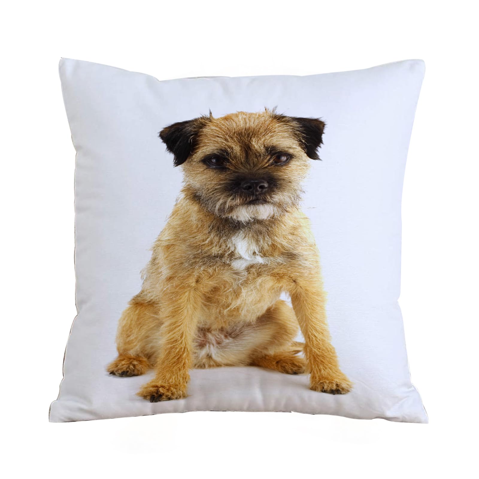 ERRTU Throw Pillow Case Pillowcase Square Printed Cushion Cover for Living Room Sofa Couch Bed Car,young and active english border terrier,16x16 in