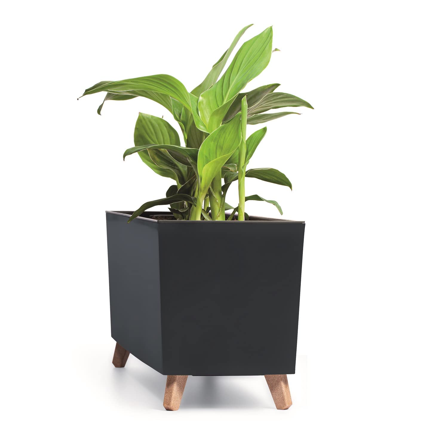 Prosperplast Caja de flores Urbi Case N, con patas, con maceta interior, para interior y exterior, maceta, resistente a los rayos UV, rectangular, 77 x 23,5 x 30 cm, antracita
