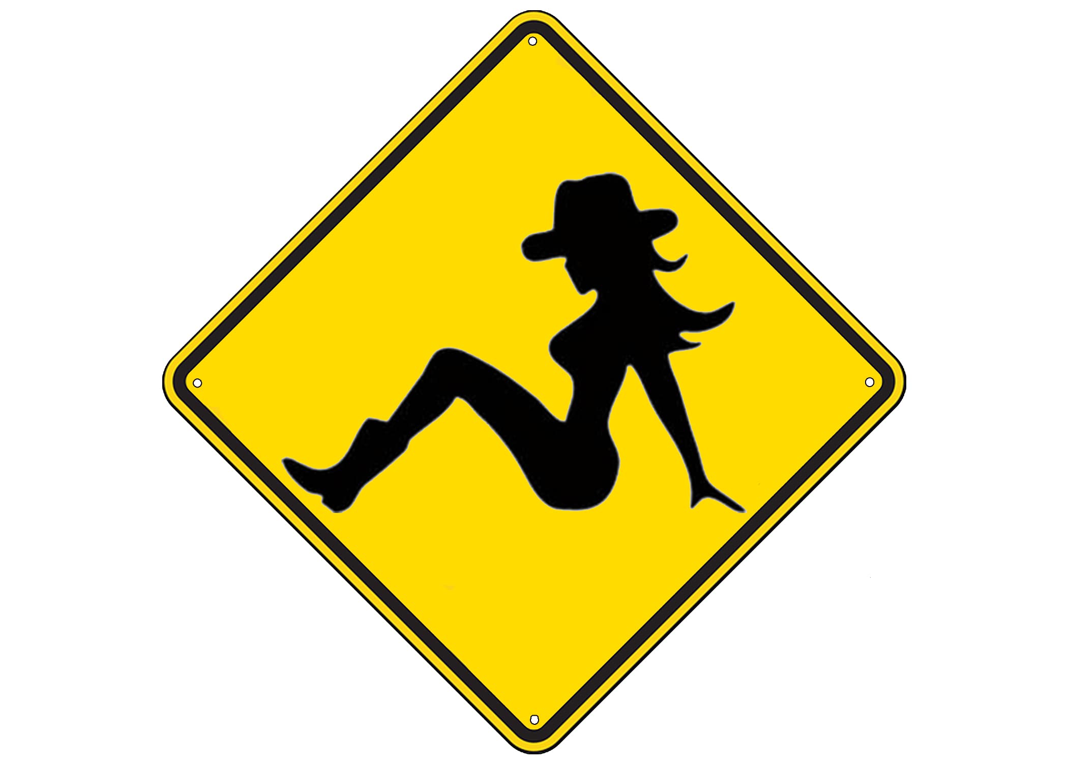 Amazon.com: Rogue River Tactical Funny Metal Warning Sexy Cowgirl