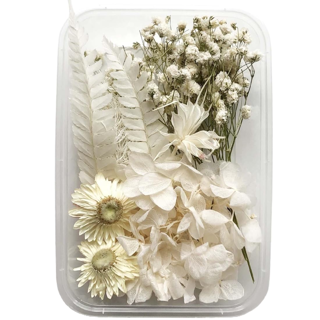 XYTAHDM Flores Secas Decorativas, Flores Prensadas Flores Secas DIY Artes Resina Scrapbooking Bisutería Decoraciones Florales (Blanco)