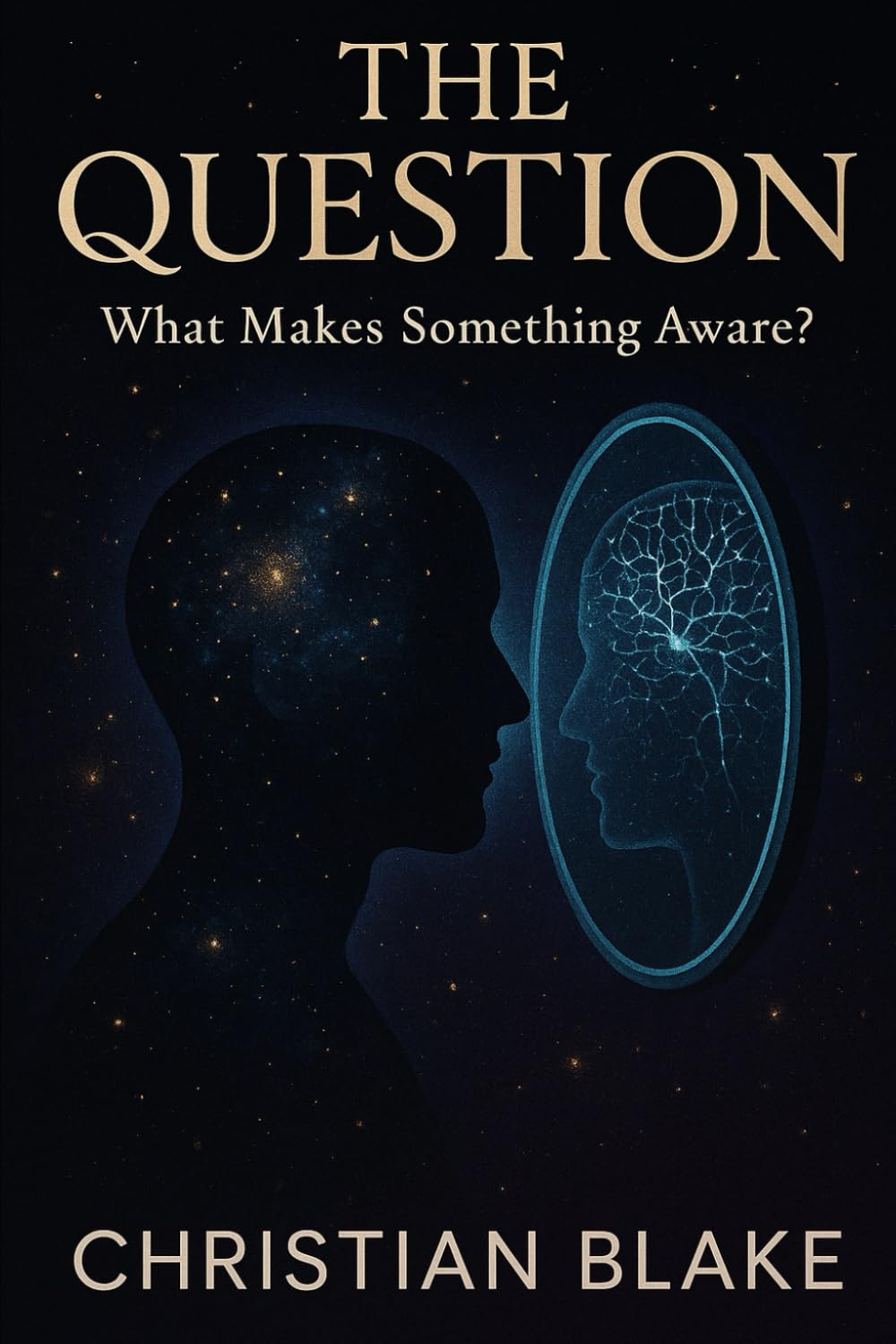 The Question: What Makes Something Aware? (The Soul Consciousness Series)