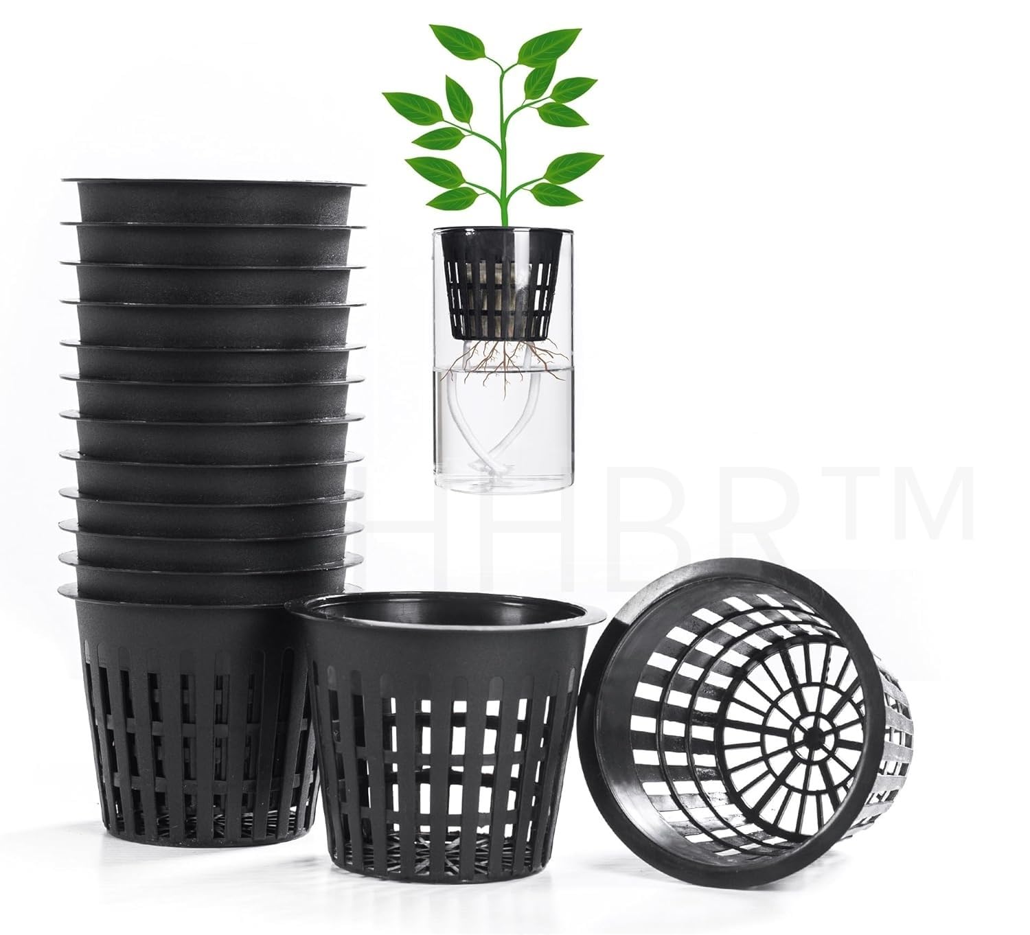 HHBR Pack of 10 | 3' Inch Hydroponic Net Cups, Slotted Mesh Plant Pots | Self-Watering System, Wick Cord Included, Aquaponics Compatible, Promotes Root Growth, For Cuttings & Ponds-image-18