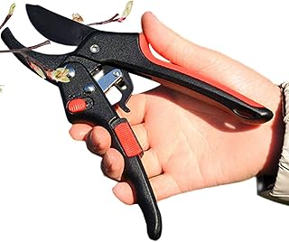 Poda de tesouras de jardinagem,Ferramenta de enxertia para podador de árvores frutíferas | Cortadores de jardinagem Bypass podadores, tesouras de jardinagem profissionais, ferramentas de Gzales