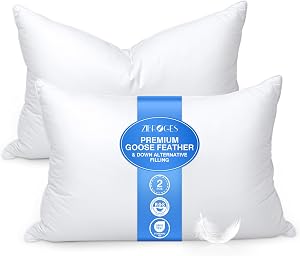 Goose Feather Pillow Queen Size Pack of 2 - Down Hotel Bed Pillows for Sleeping, Soft 600 Thread Count Cotton Cover, Fluffy Support Surround Fill Polyester for Back, Stomach, Side Sleepers