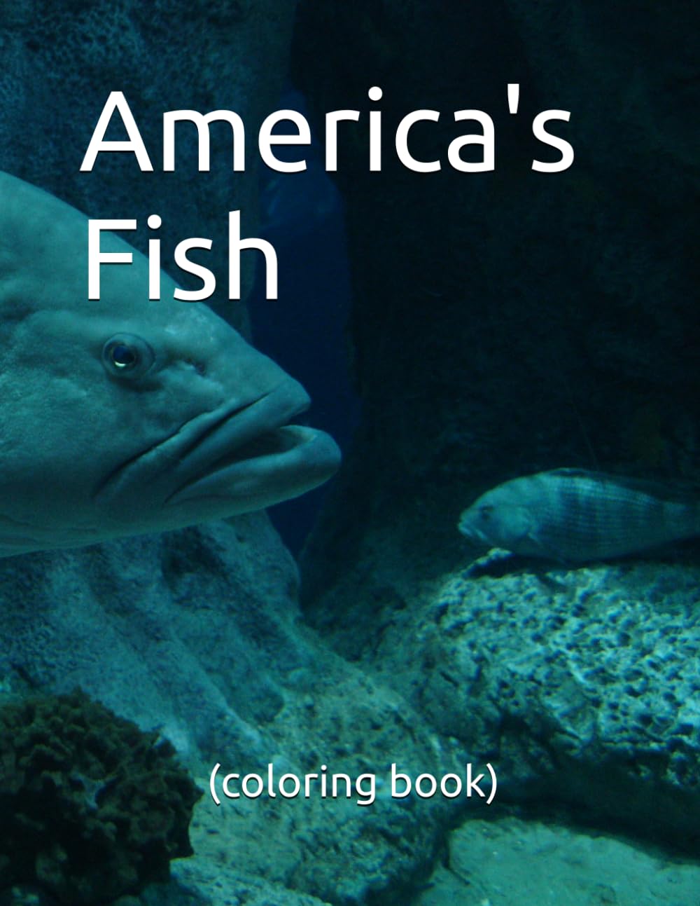 America's Fish (coloring book)