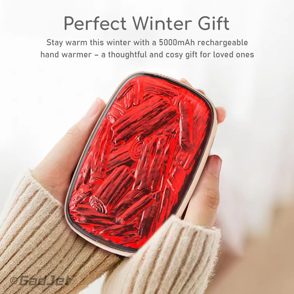 Goodiz 2-in-1 Rechargeable Hand Warmer with Powerbank : Amazon.co