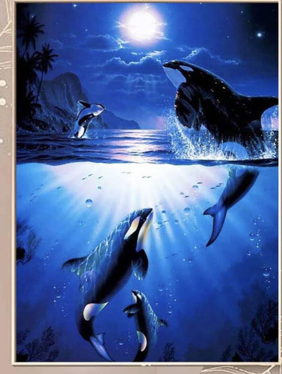 Amazon.co.jp: 訳あり ダイヤモンドアート シャチ 海 月 : 食品・飲料