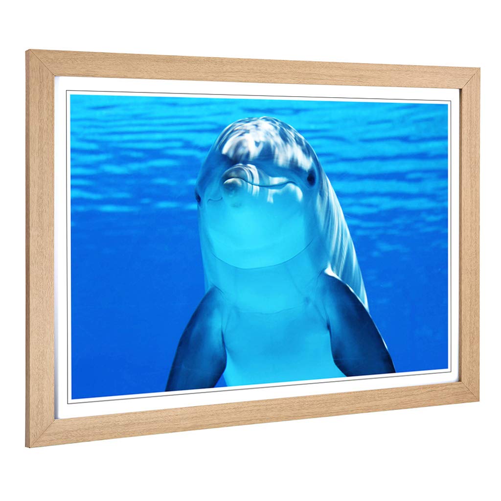 Big Box Art Framed Print of Dolphin (3) Design | Wall Art Picture | Home Decor for Kitchen, Living, Dining Room, Lounge, Bedroom, Hallway, Office, Oak, A2 / 24.5x18 Inch / 62x45cm