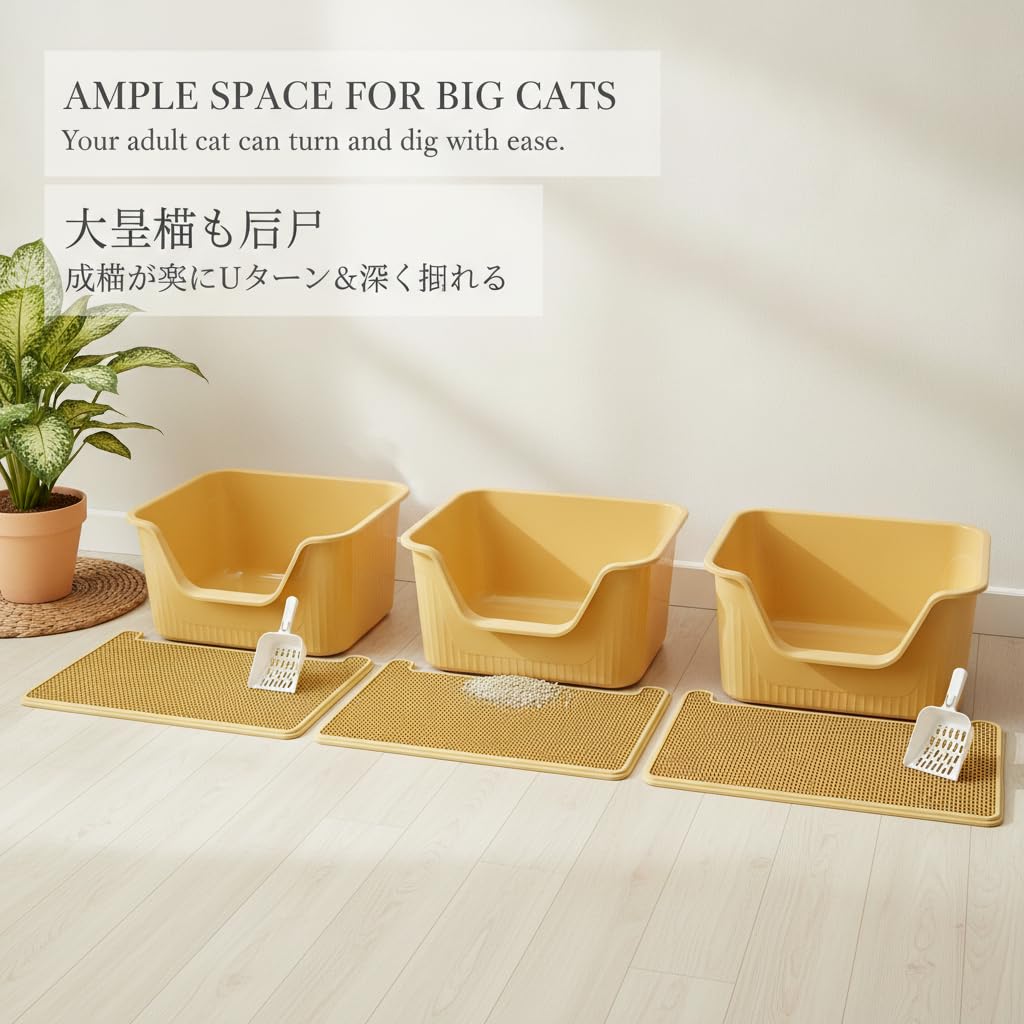 Offene Katzentoilette mit Spritzschutz