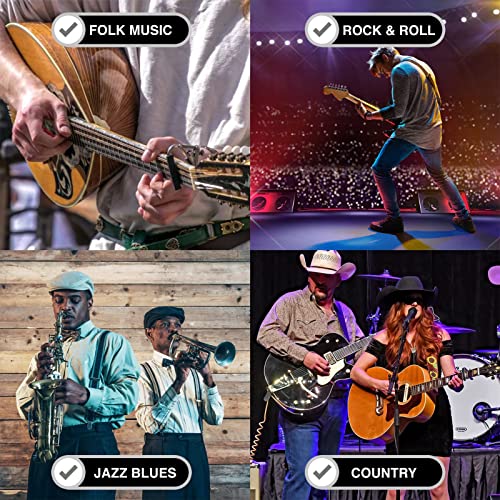 Harmonica For Kids And Adults, Beginners Blues Harmonica Mouth Organ In The Key Of C, 10 Holes 20 Notes Diatonic Harp Musical Instrument With Storage Bag And Cleaning Cloth By Small Fish #TOP5