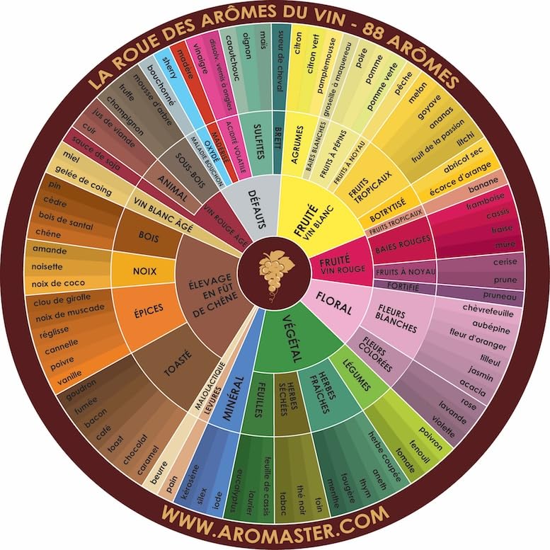 Professional Sommelier Wine Aroma Kit - 88 Aromas (French Version