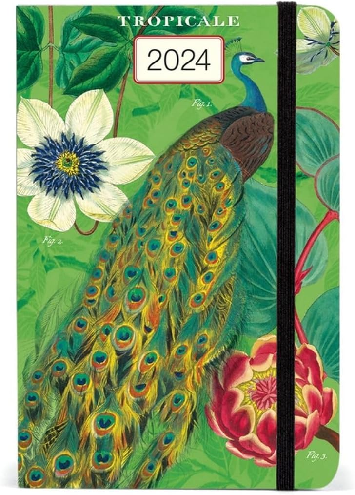 Cavallini & Co. Tropical 2024 Pocket Weekly Planner Amazon.co.uk