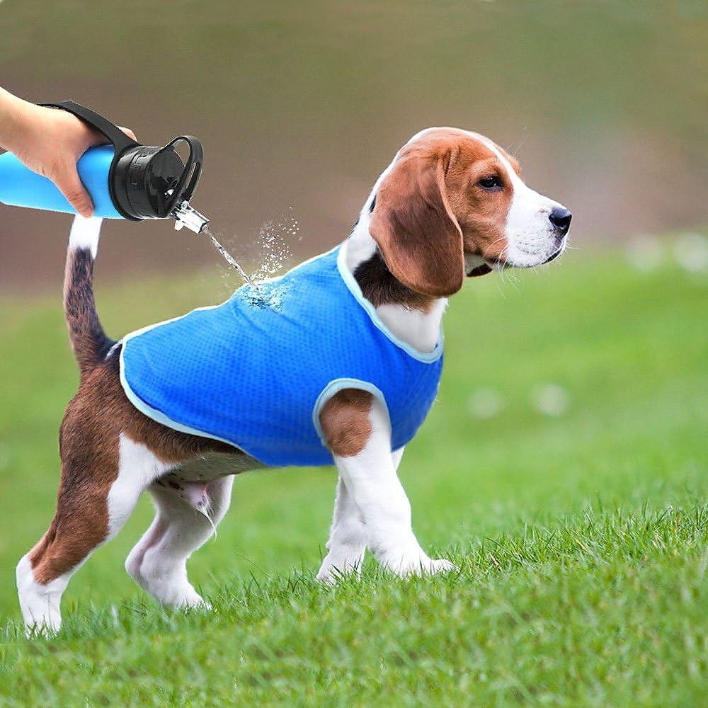 Dog Cooling Coat