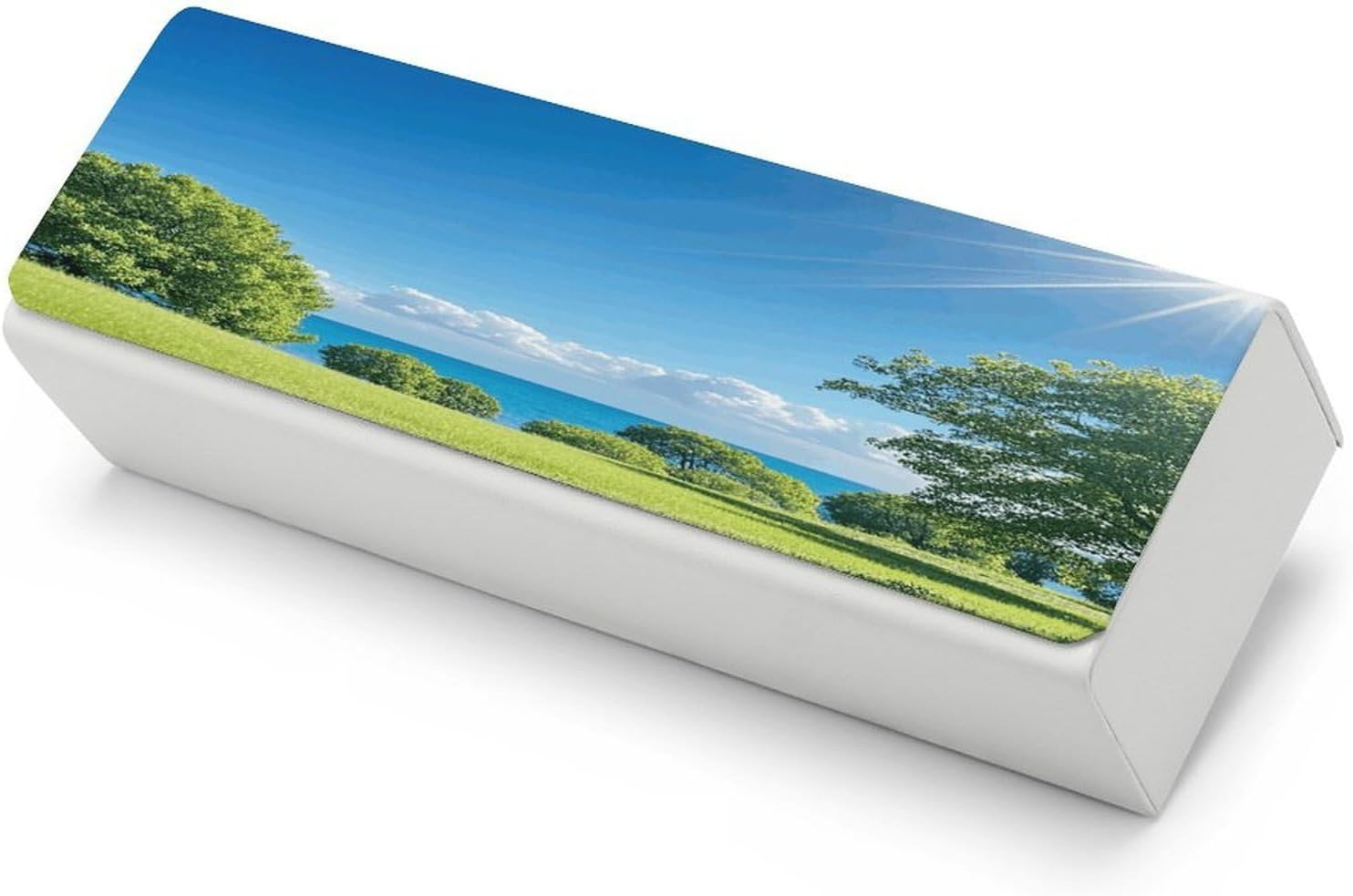 Lawn in The Sun Glasses Cases Travel Sunglasses Case with Magnetic Closure Portable Protective Glasses Cover Hard Shell PU Leather Case for Eyeglasses for Men And Women