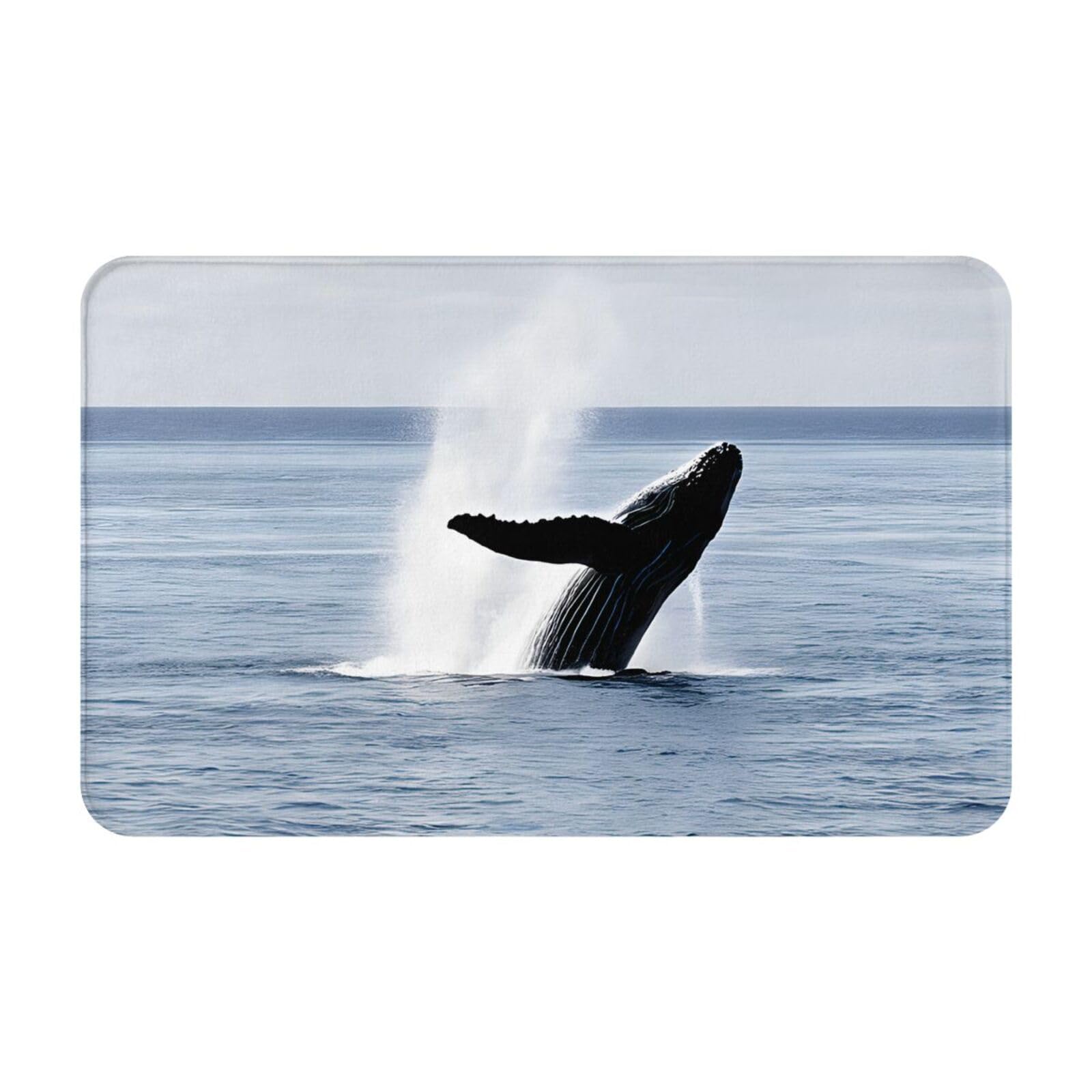 Killer Whale Print Living Room Bathroom Kitchen Anti Slip and Absorbent Carpet, Indoor Entrance Door Muddy Floor Mat, Ultra Soft Washable Carpet 21x31.5 Inches