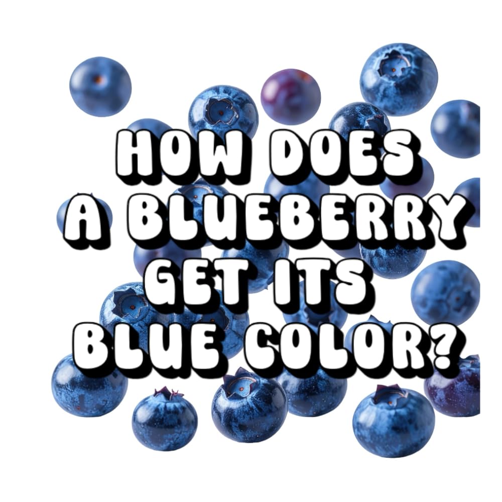 How Does a Blueberry Get Its Blue Color?