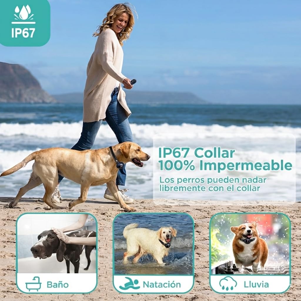 2 en1 Collar de Adiestramiento para Perros y Collar Antiladridos para Perros, Sin Descargas Eléctricas, 3 Modos Pitido/Vibración/Vibración Fuerte, Alcance de 1000 m (3300 ft),5 Niveles de Sensibilid