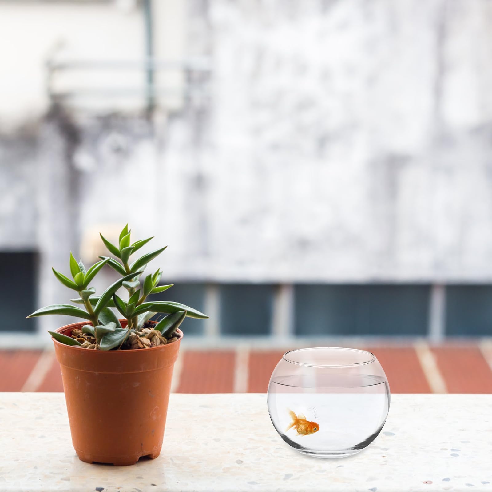 Operitacx Terrario florero de Cristal para Peces, 12cm Cuenco de Cristal para Acuario, pecera, Mini pecera, decoración de Mesa para el hogar y la Oficina, decoración del hogar