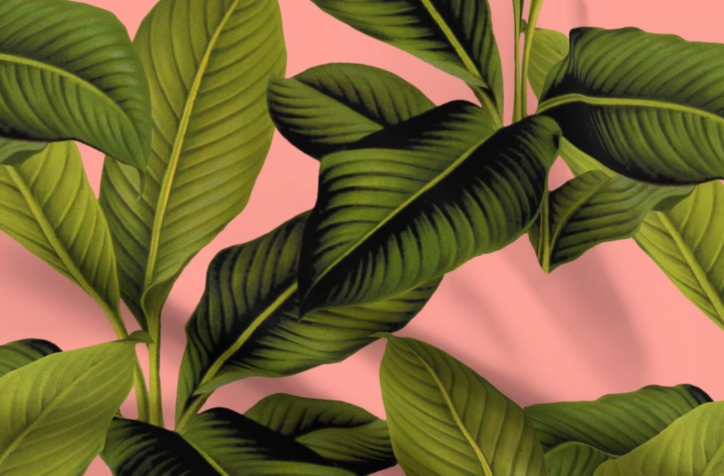 Spoonflower Fabric - Tropical Botanical Coral Pink Palm Leaves Green Tree Banana Leaf Printed on Denim Fabric by The Yard - Bottomweight Apparel Home Decor Upholstery