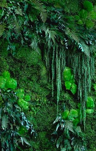 Mur Végétal Intérieur Personnalisable - Kit DIY Facile avec Plantes Stabilisées Naturelles Sans Entretien - Décoration Murale Durable et Unique pour Salon, Bureau - Fabriqué en France 1m²/ kit