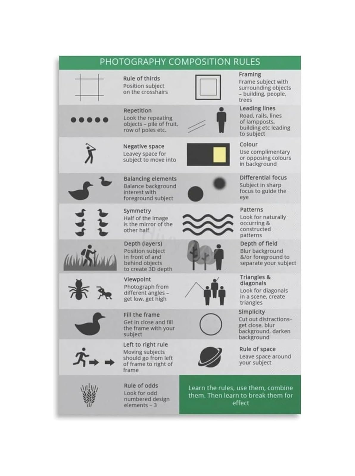 IDGTTLDF The Photographer’s Eye Poster Visual Guide to Mastering Composition and Framing Techniques Inspirational Wall-Art for Office or Classroom Unframed,12x18inch(30x45cm)