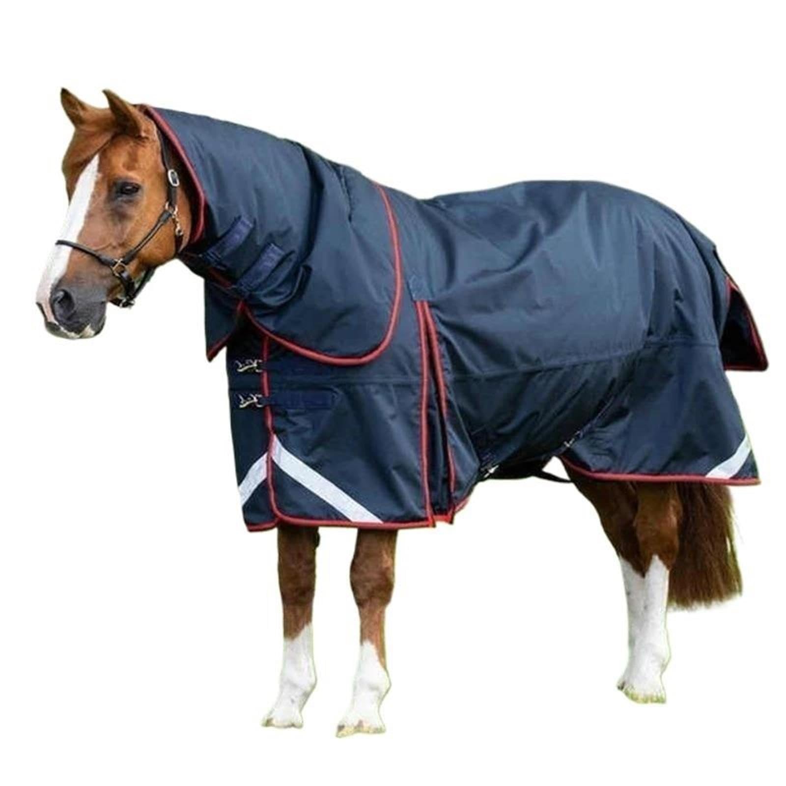 Coperta for Affluenza Di Cavalli