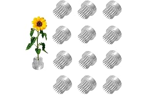 12Pcs Flower Frog 23mm/0.9inch Mini Floral Frog Japanese Ikebana Kenzan Table Numbers...