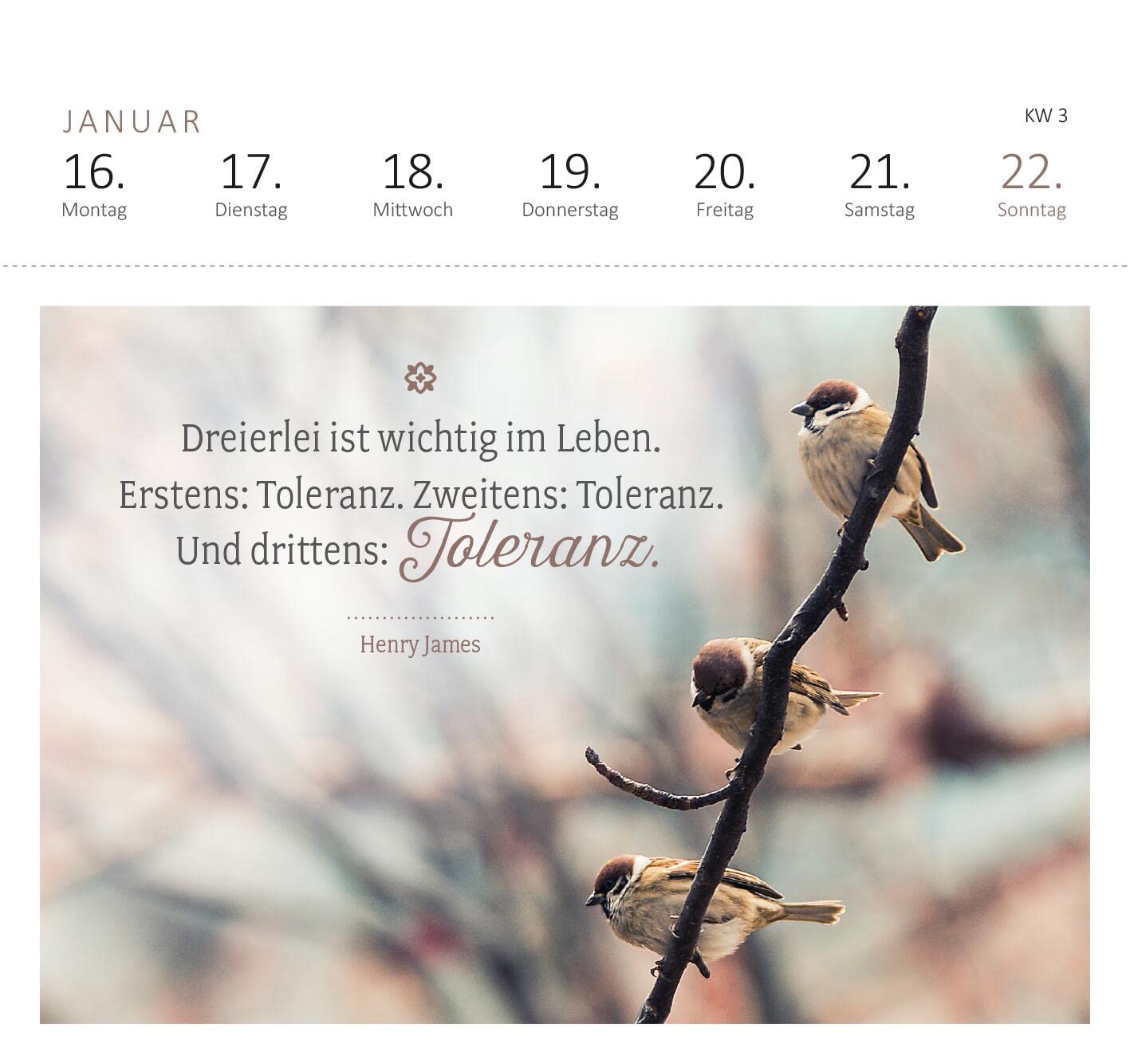 Postkartenkalender Lebensweisheiten 2023: Wochenkalender 2023, 53 Postkarten für mehr Inspiration