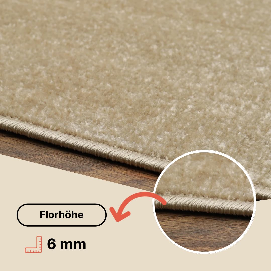 TAPISO Mono Läufer Teppich Kurzflor Indoor Outdoor UV-beständig Hellgrau Einfarbig Wohnzimmer Schlafzimmer Kinderzimmer Modern Design ÖKO-TEX 70 x 300 cm