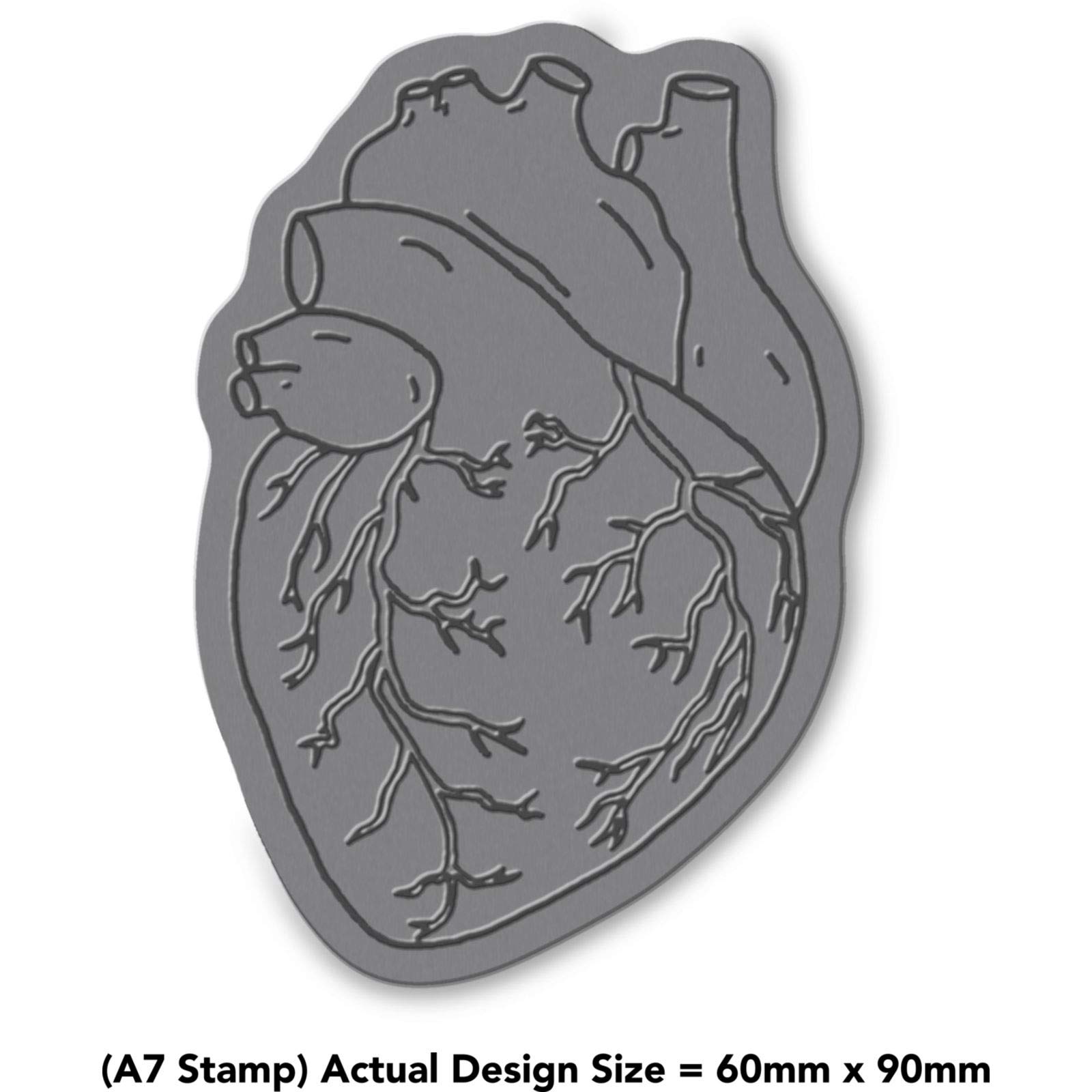 'Human Heart' Rubber Stamp - Unmounted Design for Crafting & Scrapbooking, A7 (RS00032382)