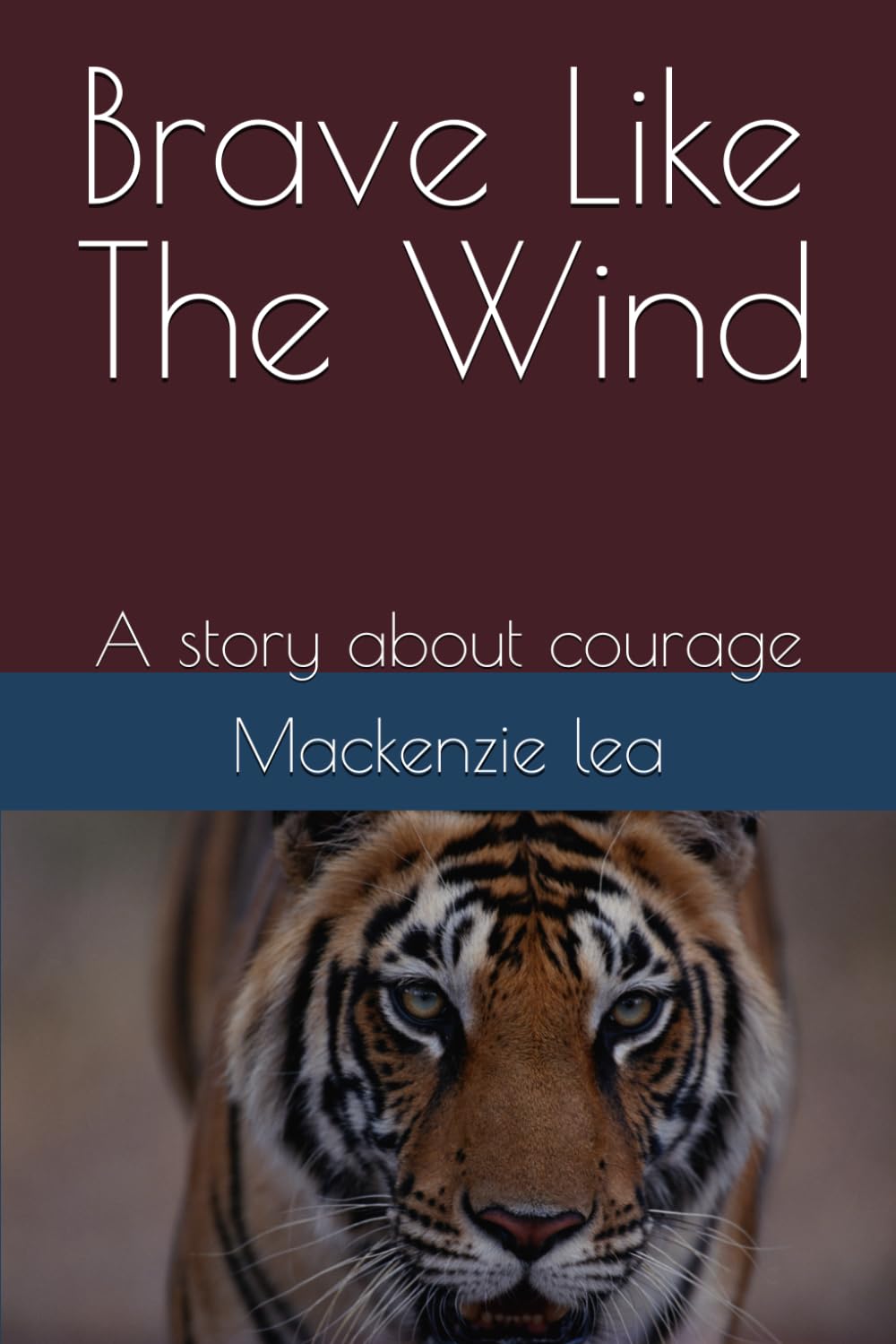 Brave Like The Wind: A story about courage