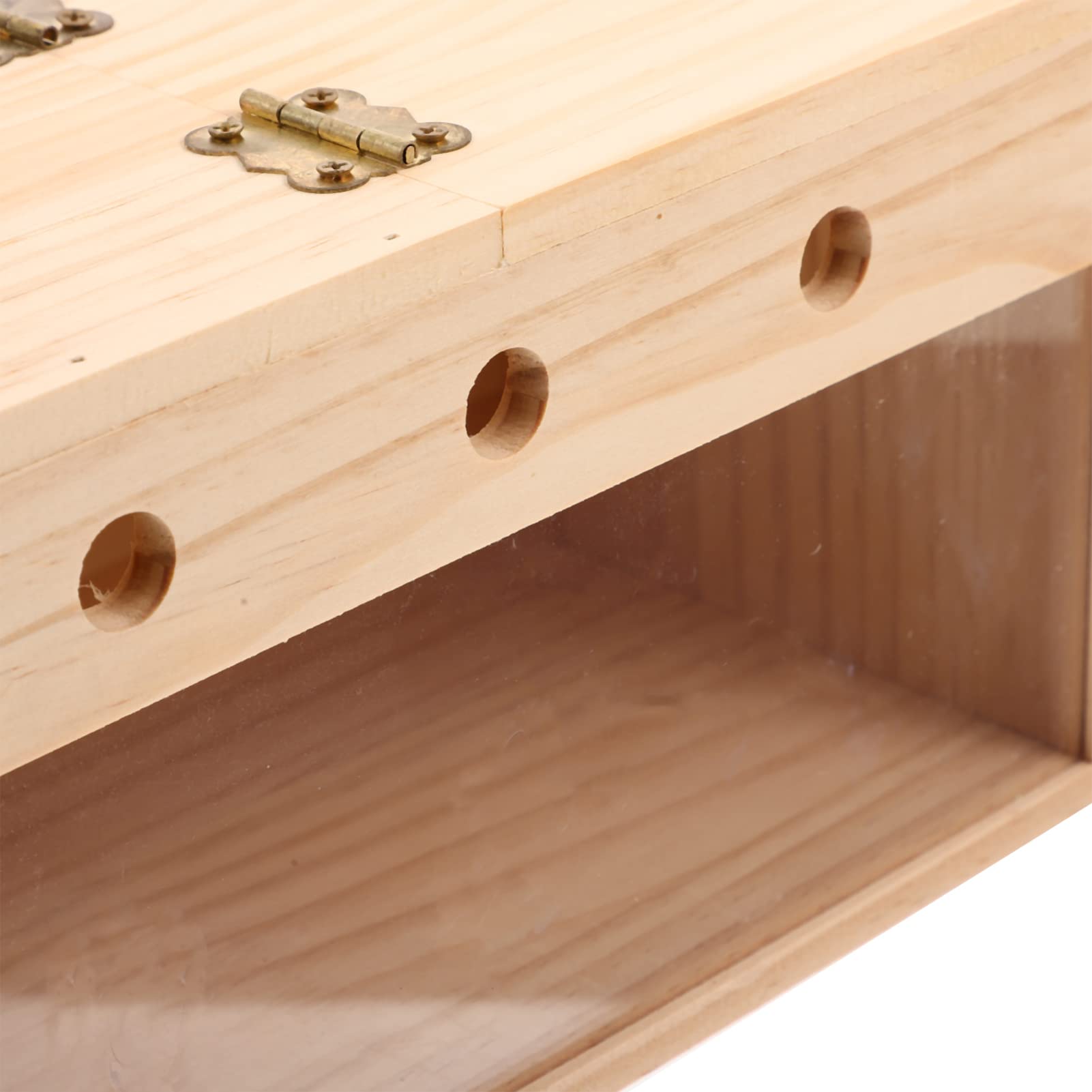 Toddmomy Scatola per Allevamento Uccelli in Legno per Calopsite e Inseparabili, Nido Trasparente da Giardino e Balcone Funzione di Incubazione e Decorazione
