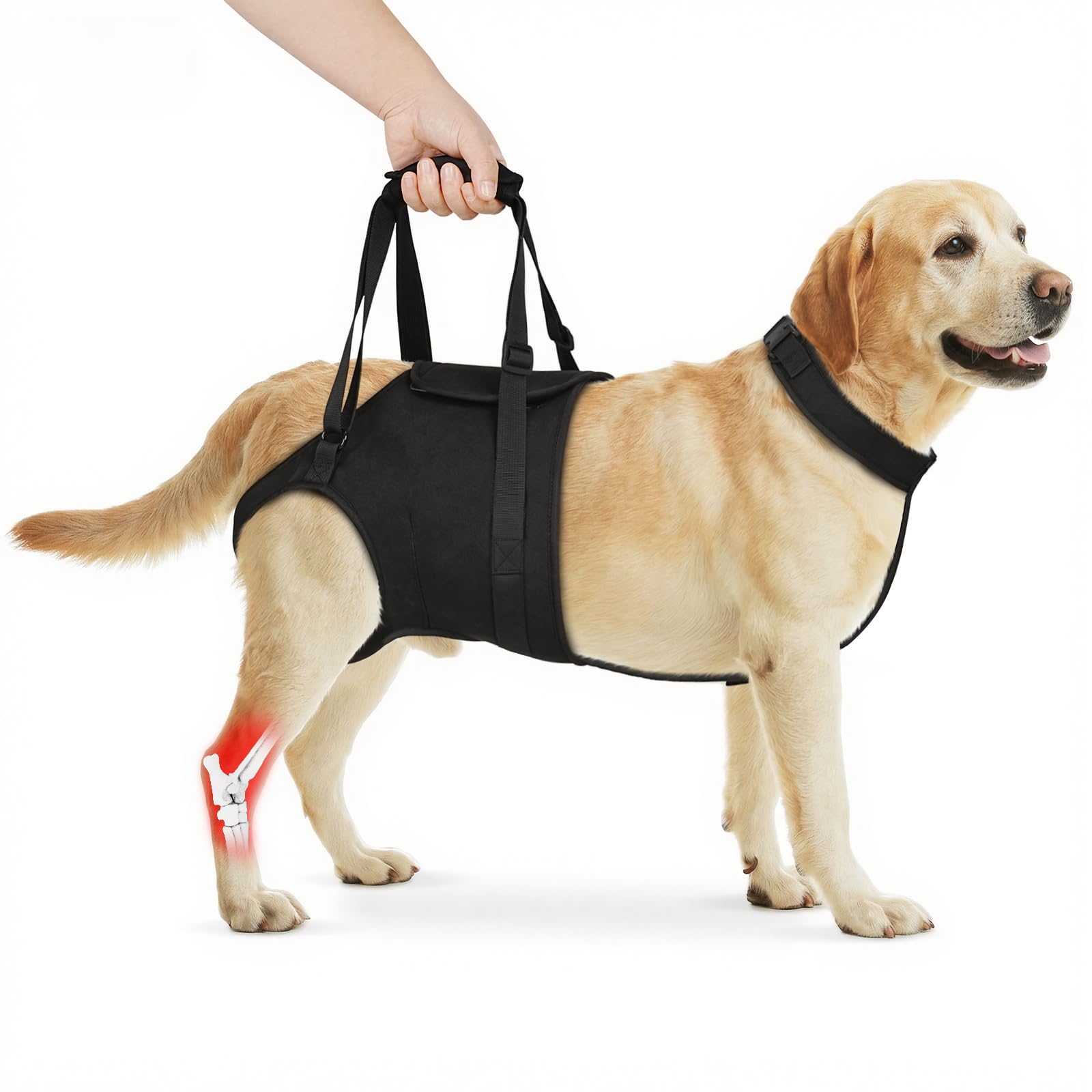 Photo 1 of Supet Dog Sling for Large Dogs Hind Leg Support, Senior Dogs Lift Assist Harness for Weak Back Leg Support, Help Large Breed Rear Leg Up Harness, Mobility Aids for Elderly, Injured, Paralyzed Dog, XL