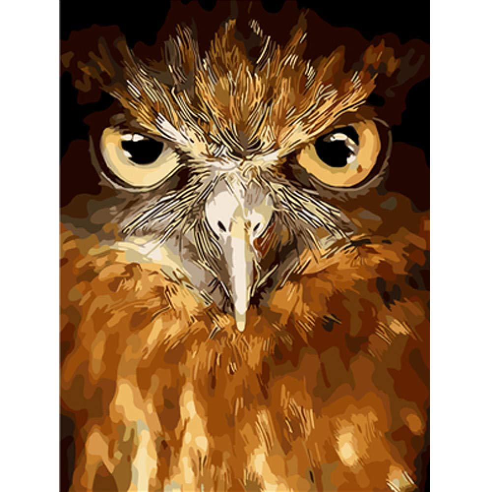 LMTAMN Painting By Numbers Frameless Eagle Eye Vintage Diy Paintings By Numbers Owl Acrylic Paint On Canvas Kit Animals Paint By Numbers For Home Decor Art