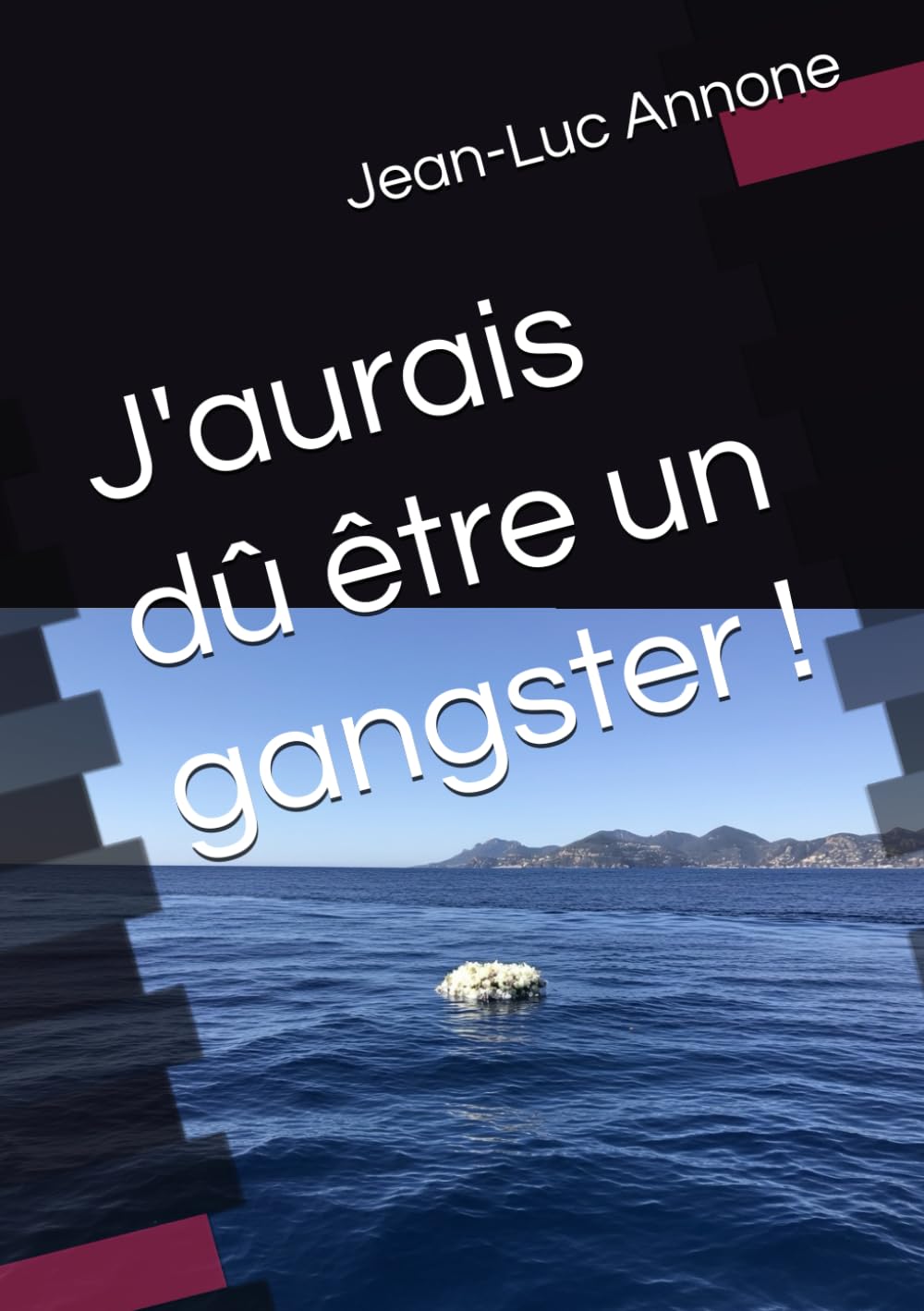 J'aurais dû être un gangster !
