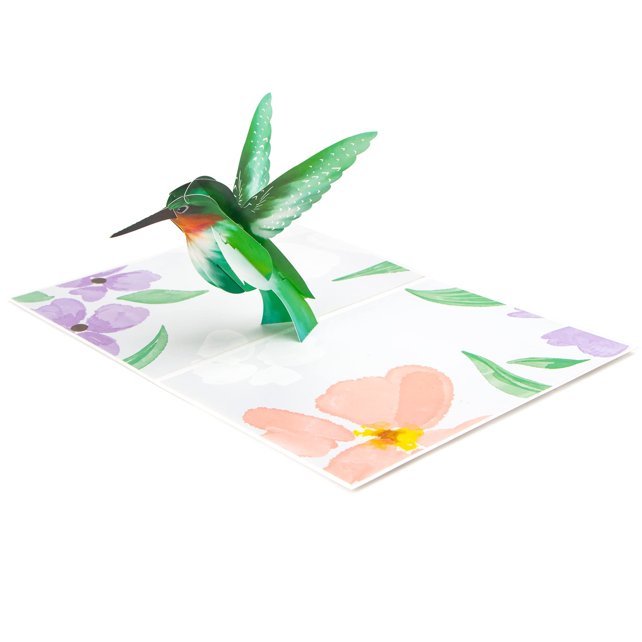 Amazon.com : Ribbli Hummingbird Pop Up Card, for All Occasion, Mothers Day  Card, Thinking of You Card, Birthday cards for Mom Women Girl Wife Grandma  Daughter Sister, with Envelope : Office Products