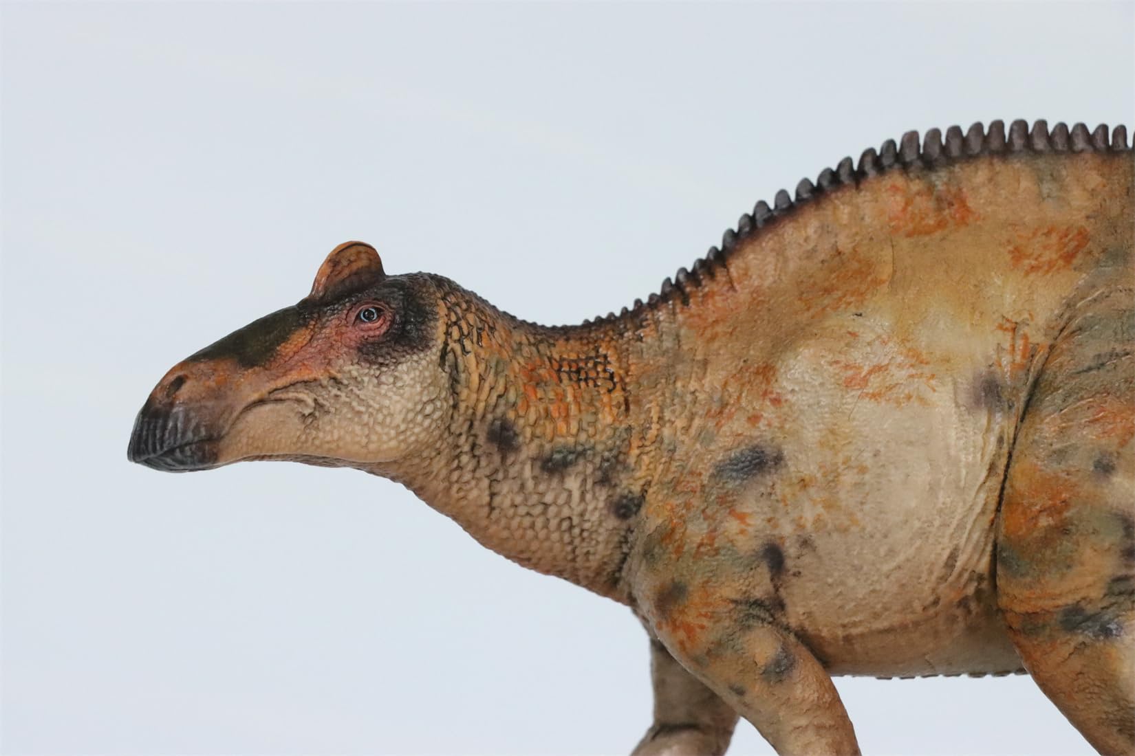 AMITD HLG Studio 1:35 Scale Edmontosaurus Model Realistic PVC Dinosaur Figure Collecor Home Decor Gift for Adult (arancione)