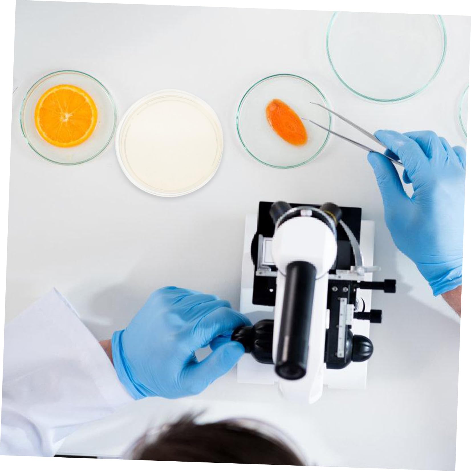 Alipis Piastre di Petri in Plastica Sterili Agar Nutriente Pre-colato, 20 Pezzi, 9cm, per Colture Cellulari e Sperimenti di Laboratorio, Crescita Stabile e Confezione Sterile