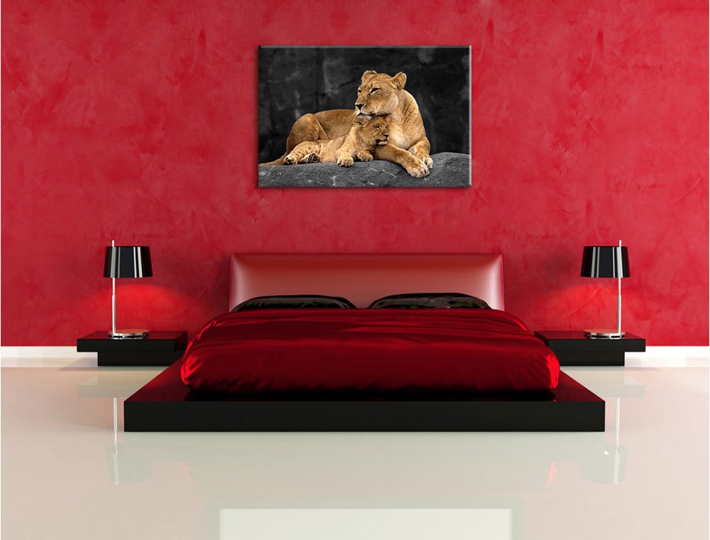 Pixxprint Löwe Löwenjungen, Größe: 120x80cm, Leinwandbild, fertig gespannt, Wandbild, Dekoration, Kunstdruck, kein Poster