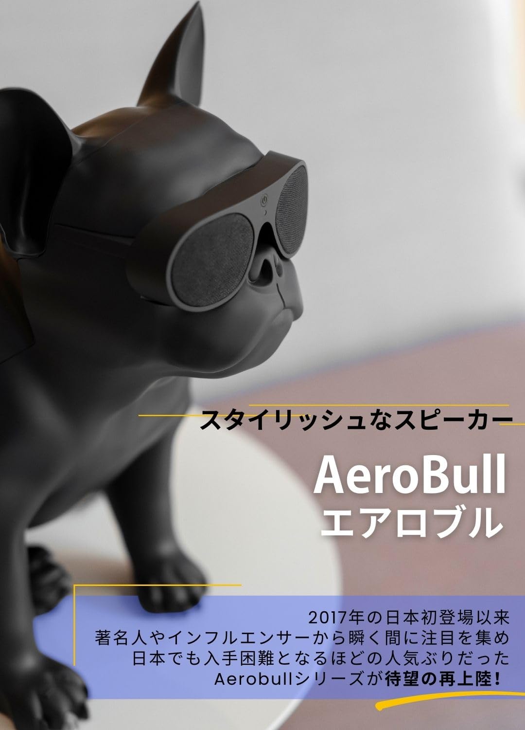 Amazon.co.jp: AeroBull（エアロブル） XS1 クロームブラック Chrome
