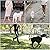 Multi-Function Hands Free Dog Lead (7ft) - Strong Dog Training Leads, 1.4cm Thick Nylon Double Dog Leads, [3 Adjustable Lengths] Walking Running Long Rope Leash for Small Medium Large Dogs Black, 1/2"