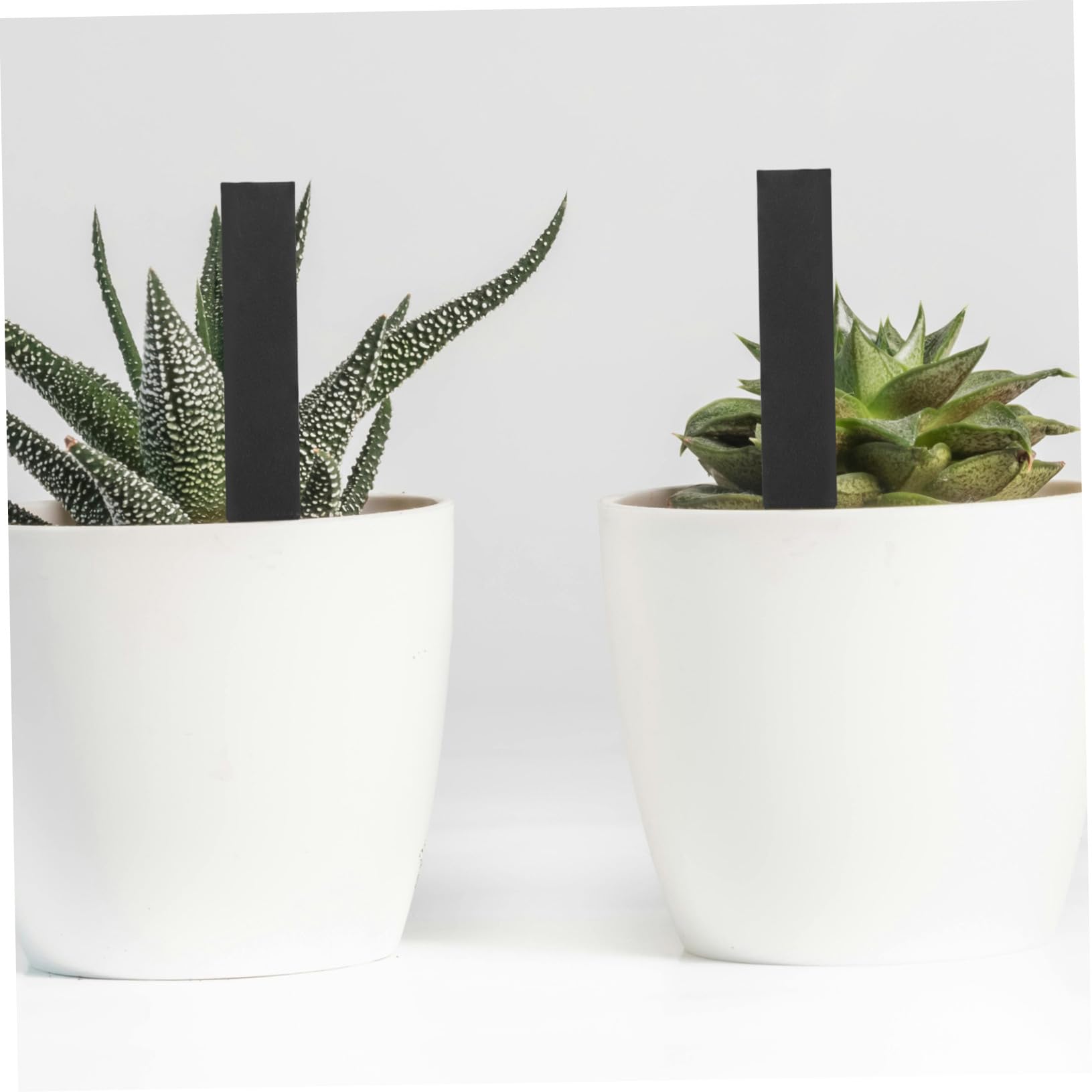 ibasenice 2 Ensembles Étiquettes Ardoise Pour Plantes Marqueurs Durables Pour Jardin Et Semis Faciles À Écrire Et Insérer 10 Pièces * 2